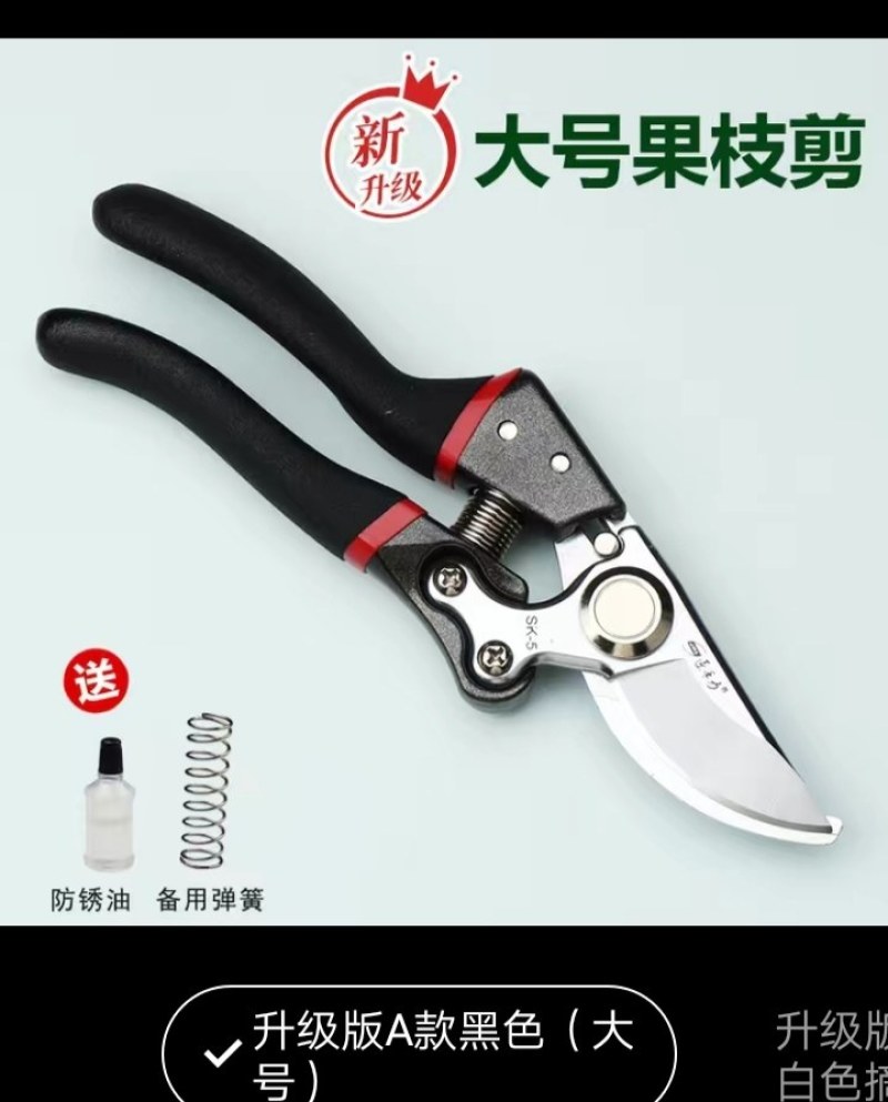 强力剪粗枝剪树枝修枝剪刀苹果树梨树桃子树果树专业园林园丁