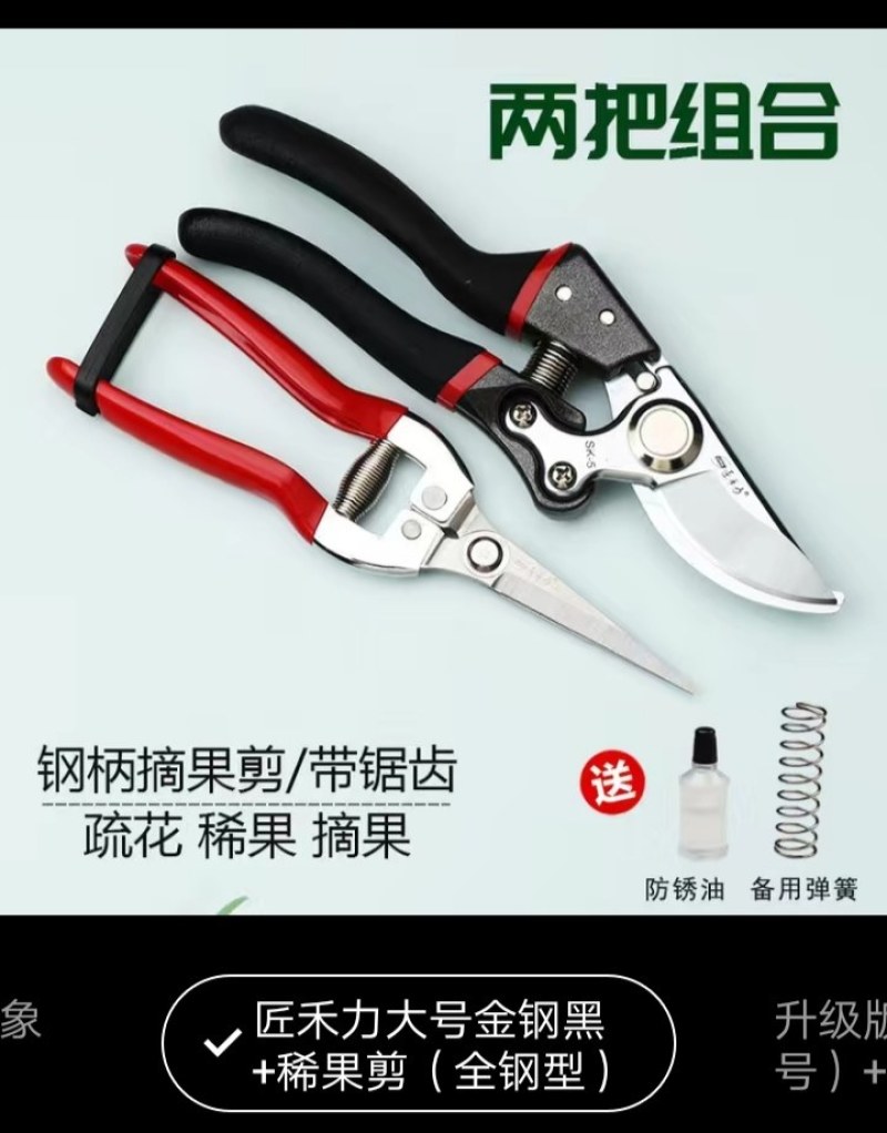 强力剪粗枝剪树枝修枝剪刀苹果树梨树桃子树果树专业园林园丁