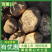 【晋薯16】土豆！黄皮黄心大量上市了，产地供应欢迎采购！