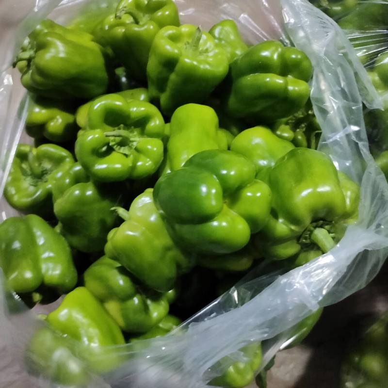 精品圆椒大量上市市场，超市**