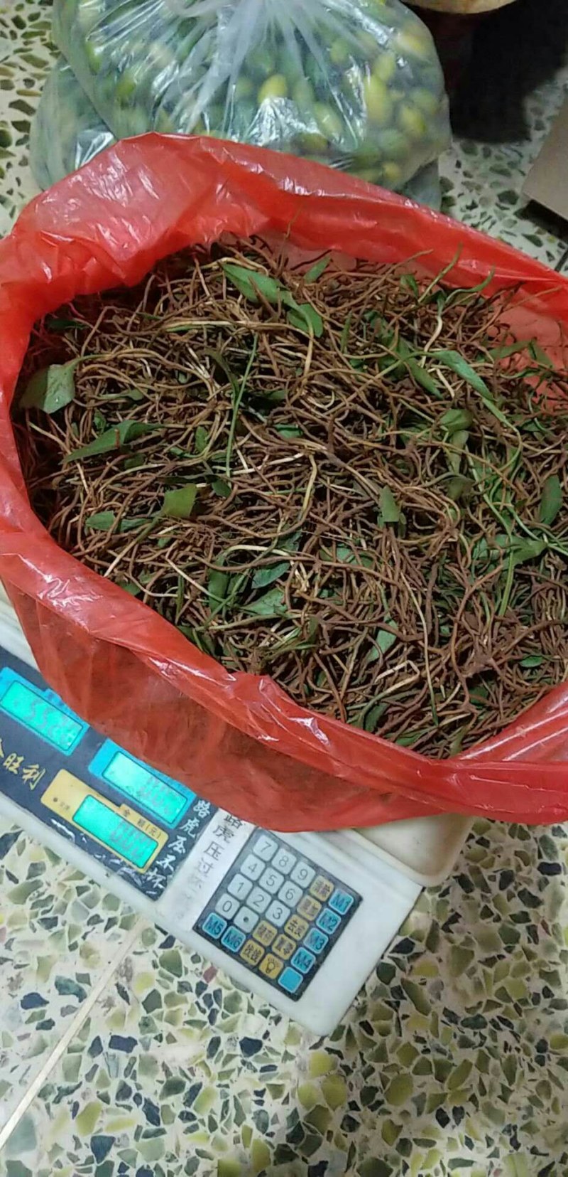 一支箭新鲜野生货下山一支箭保鲜两斤包邮新鲜直达