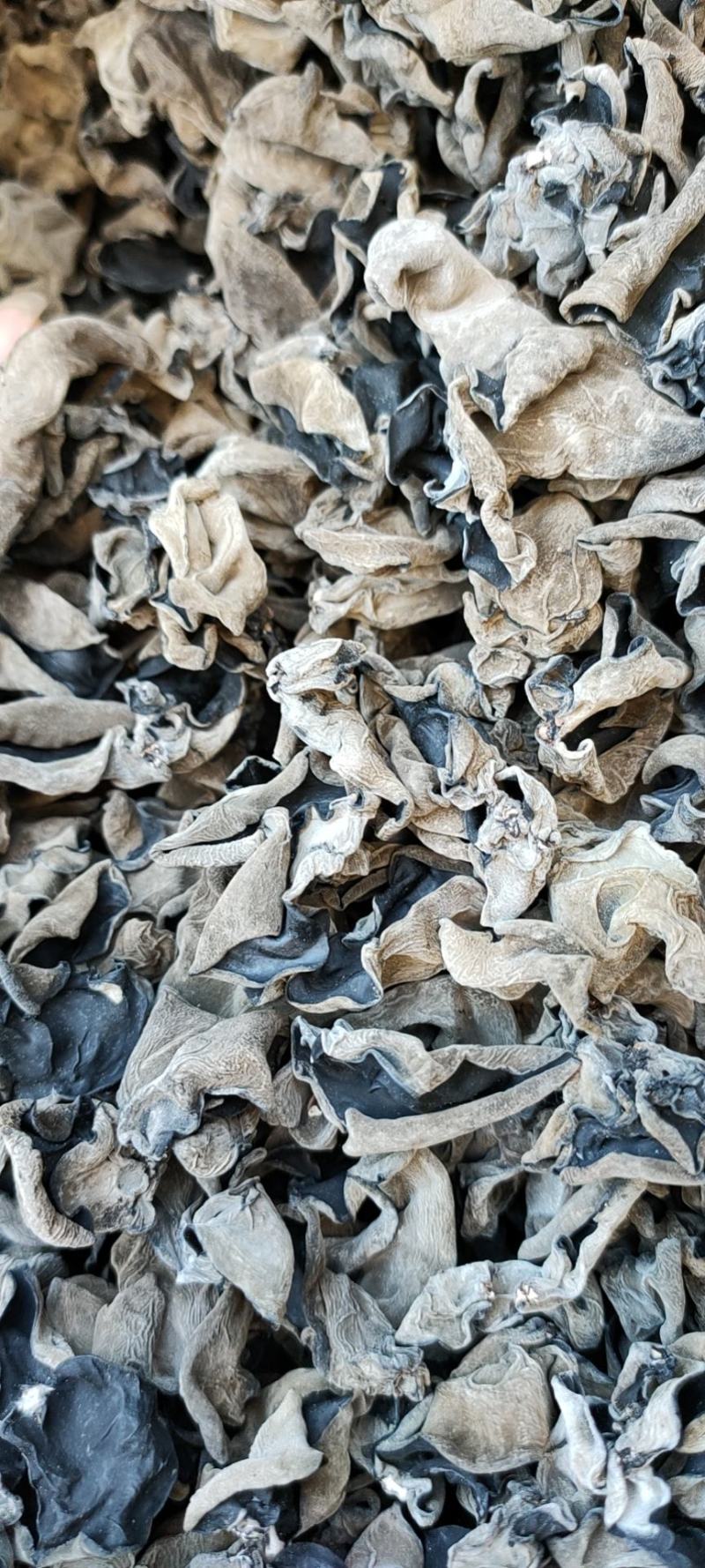 新采摘东北干货木耳泡发率高