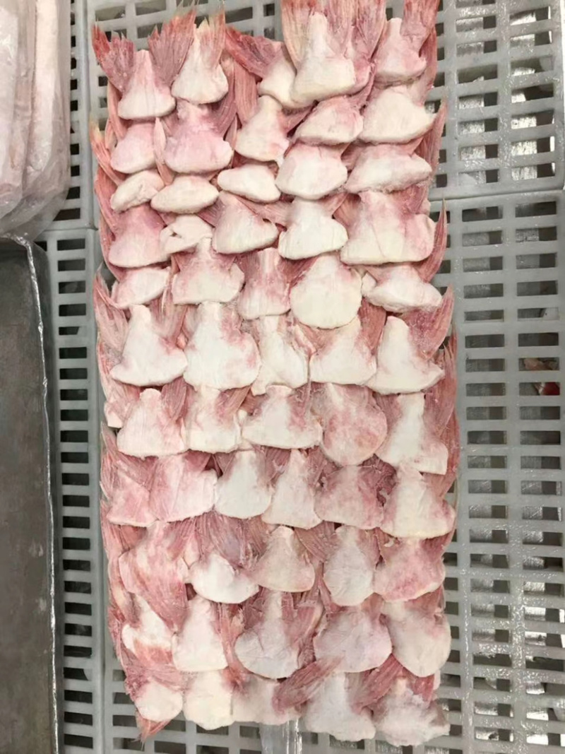 巴沙鱼鳍👍🏻👍🏻👍🏻👍🏻👍🏻👍🏻