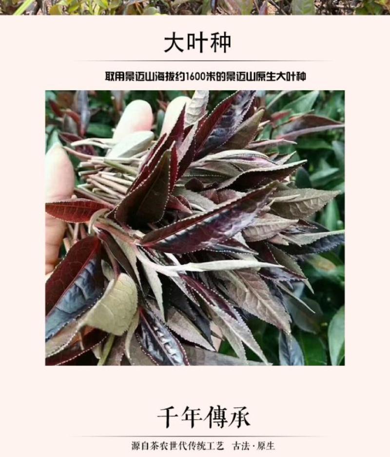 滇红茶景迈山黑紫娟红茶特价推广69元/150克散装送罐子