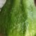 番石榴（芭乐）出售！！！