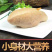 黄金鲍螺黄金鲍螺头肉