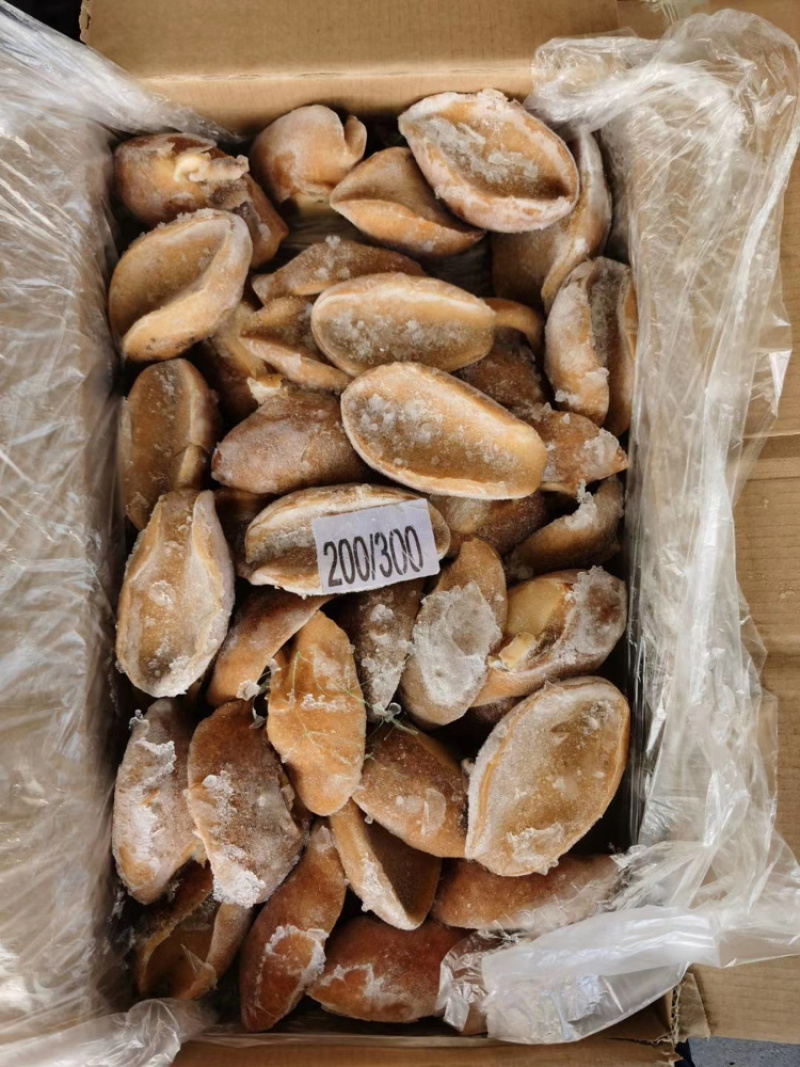 黄金鲍螺黄金鲍螺头肉