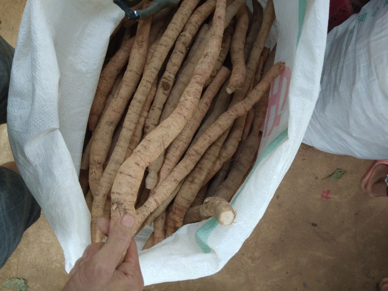 靓小牛鲜货，手快就有啊！慢了拍大腿...