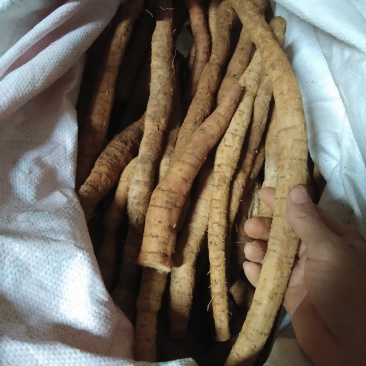 靓小牛鲜货，手快就有啊！慢了拍大腿...