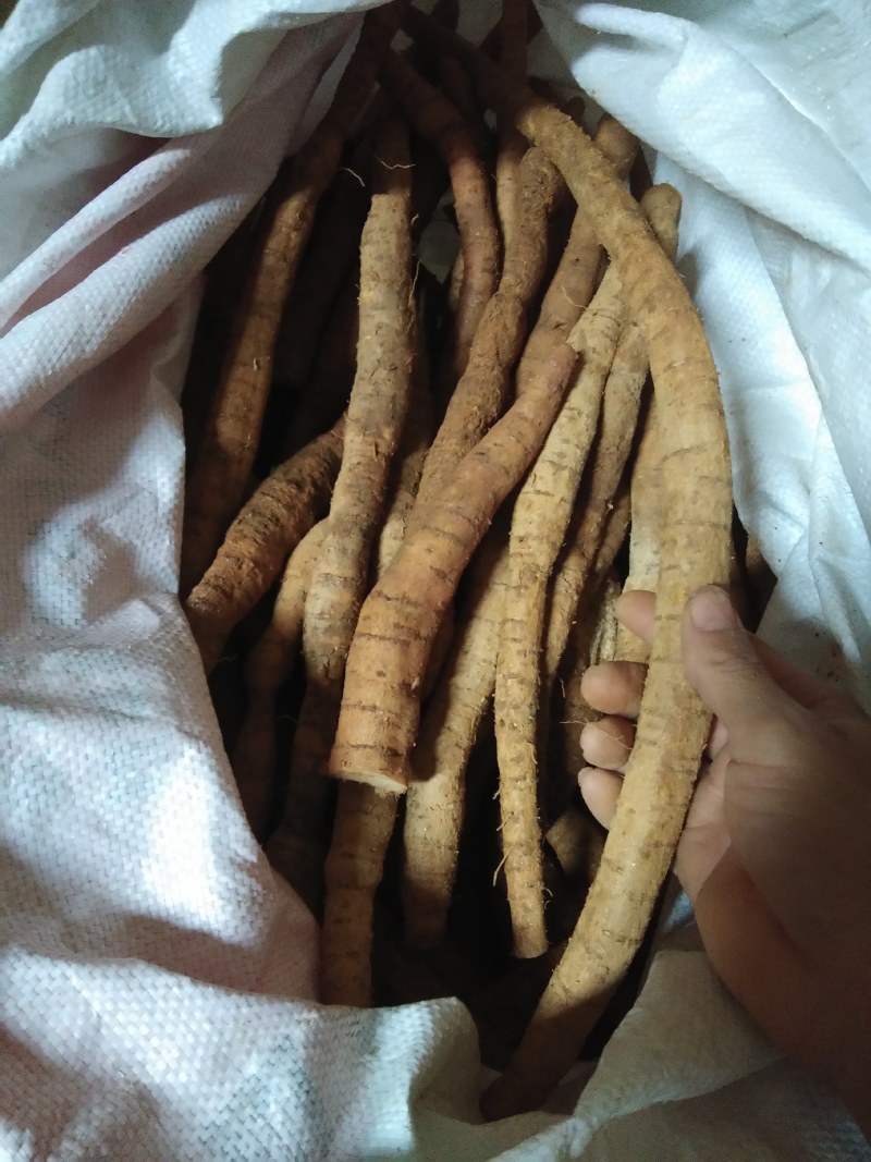 靓小牛鲜货，手快就有啊！慢了拍大腿...