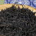 滇红茶景迈山黑紫娟红茶特价推广69元/150克散装送罐子