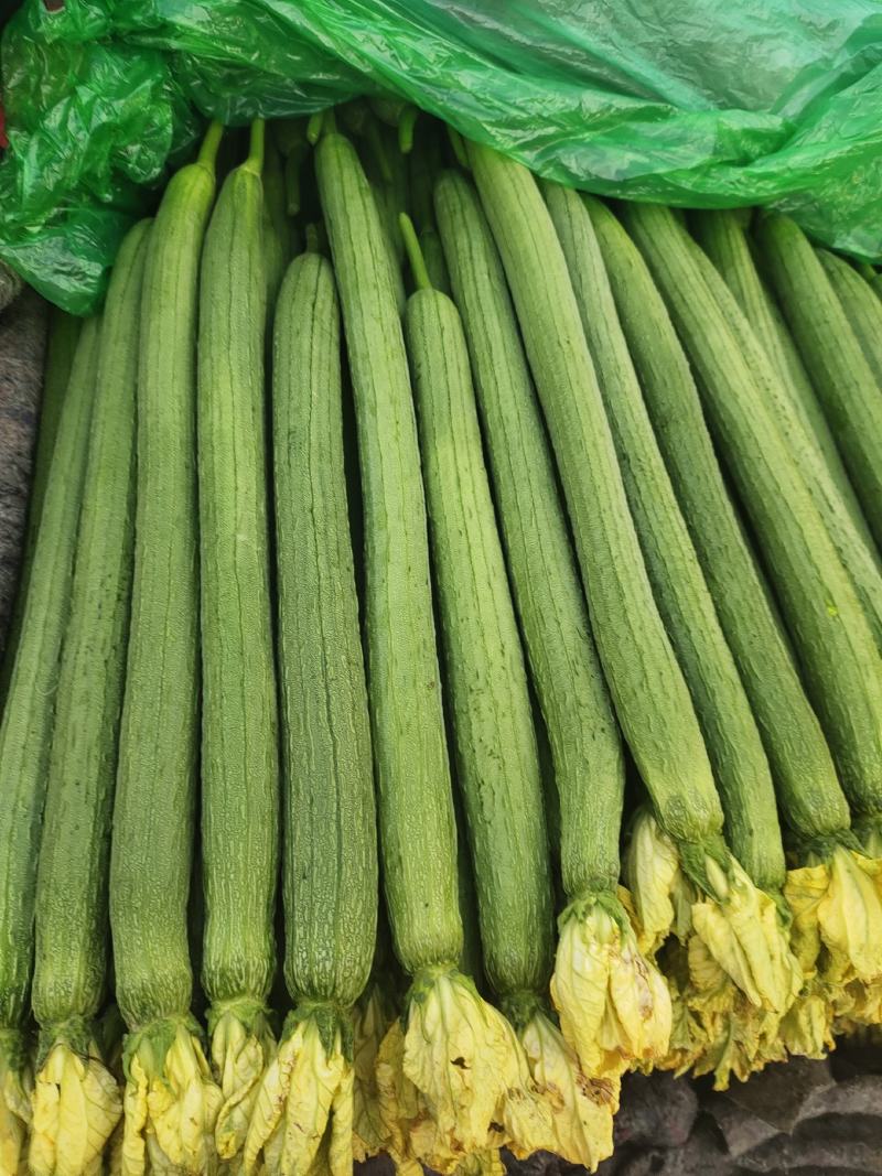 四季优质蔬菜，诚信代办