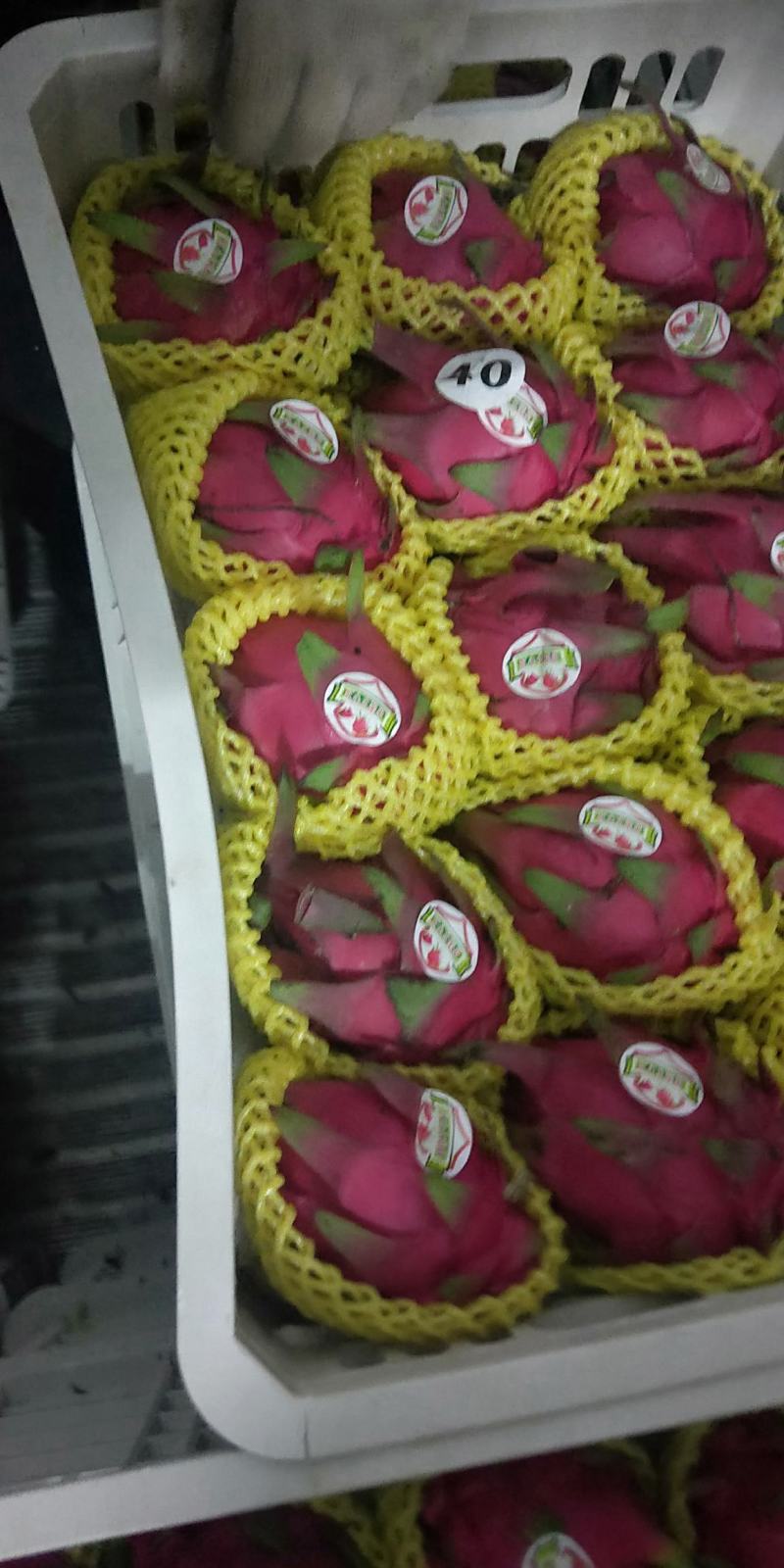 红心火龙果:普红，金都，大红，桂红龙