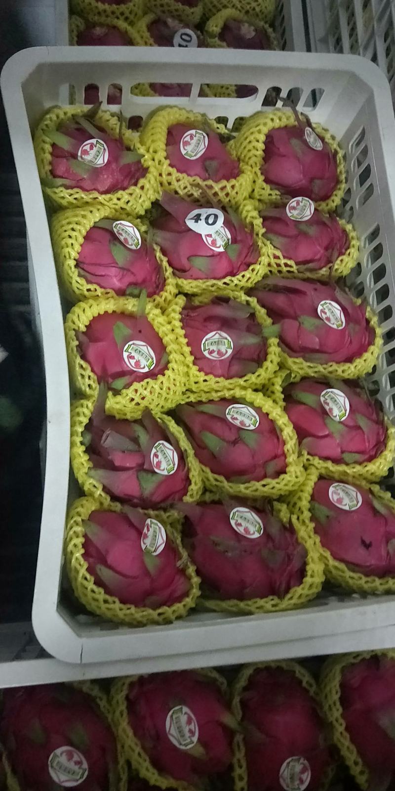 红心火龙果:普红，金都，大红，桂红龙