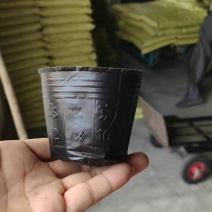 营养钵农用育苗用具加工厂