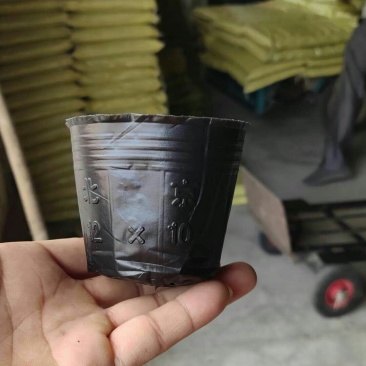 营养钵农用育苗用具加工厂