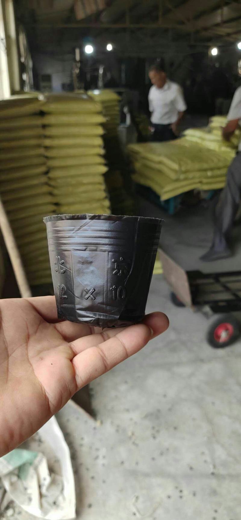 营养钵农用育苗用具加工厂