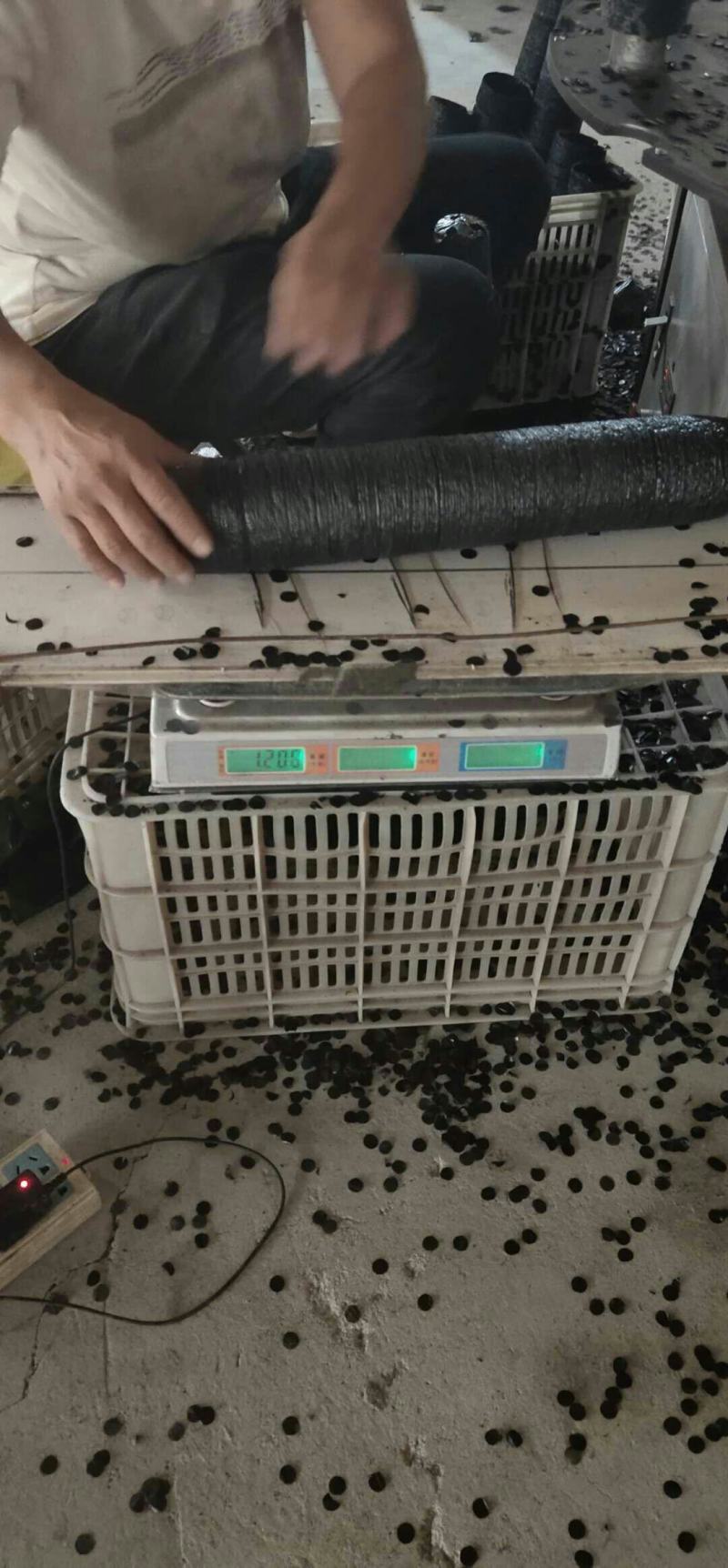 营养钵农用育苗用具加工厂