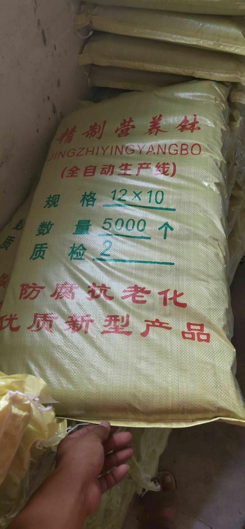 营养钵农用育苗用具加工厂