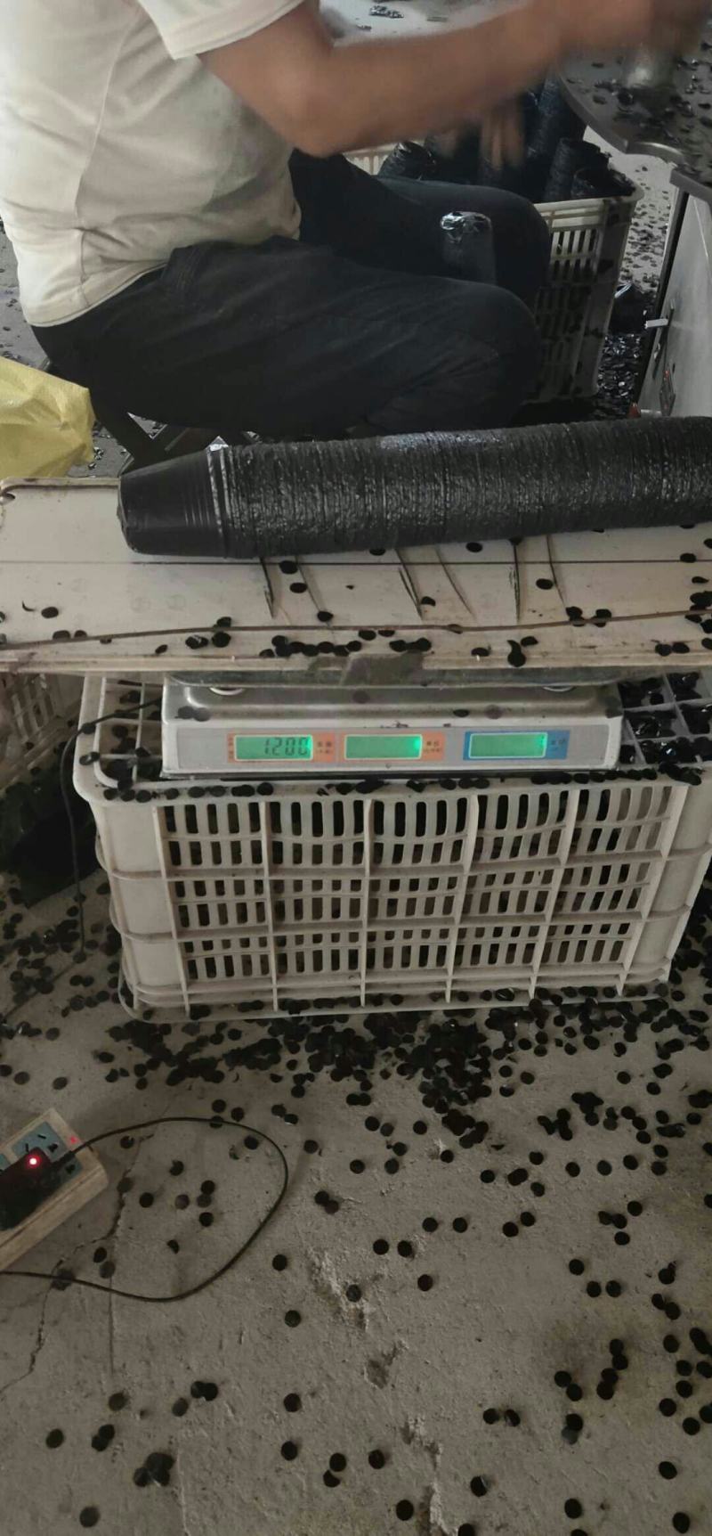 营养钵农用育苗用具加工厂