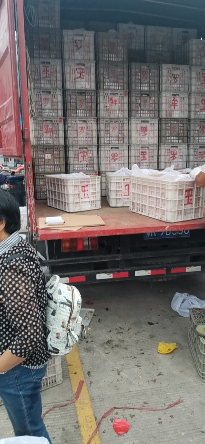 代办糖心苹果，汉源花果之乡大量供应！！！！