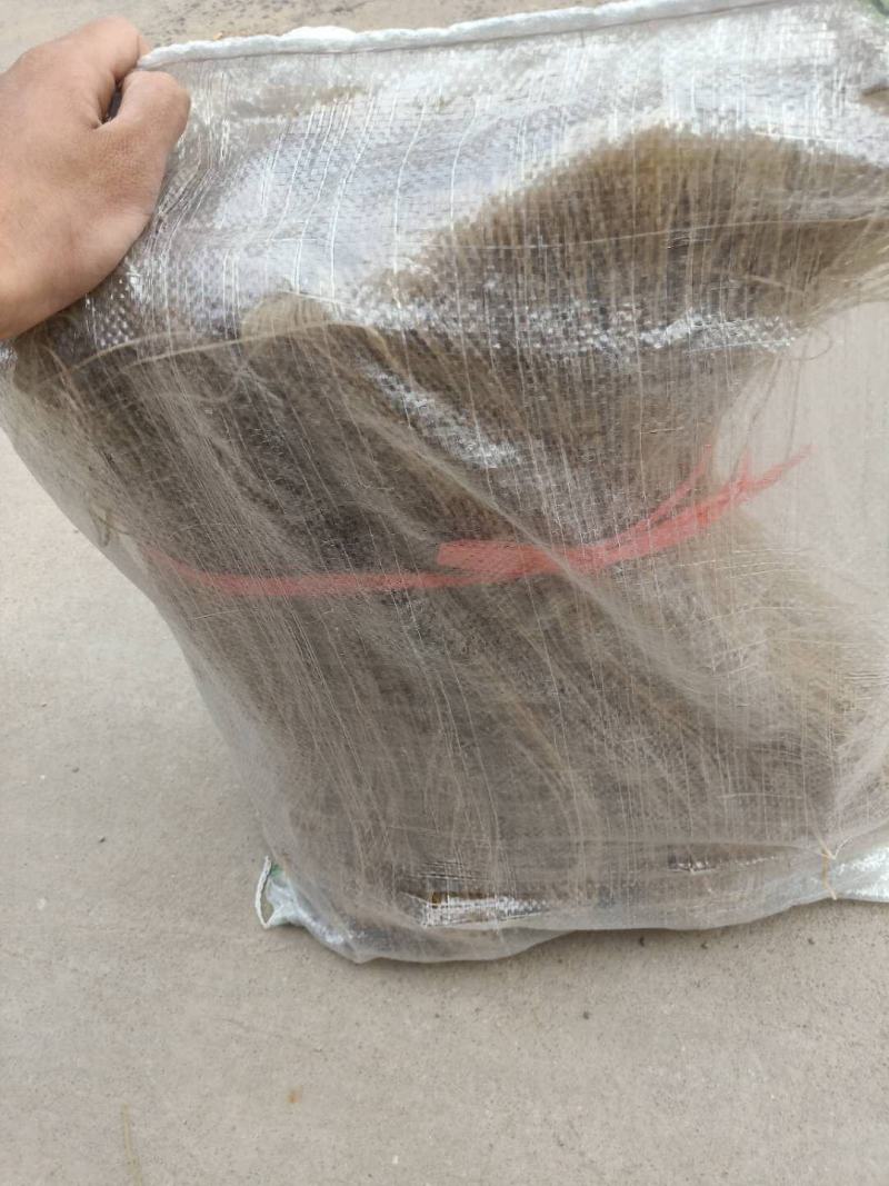 纯手工河南红薯粉条山药粉条口感劲道***欢迎咨询