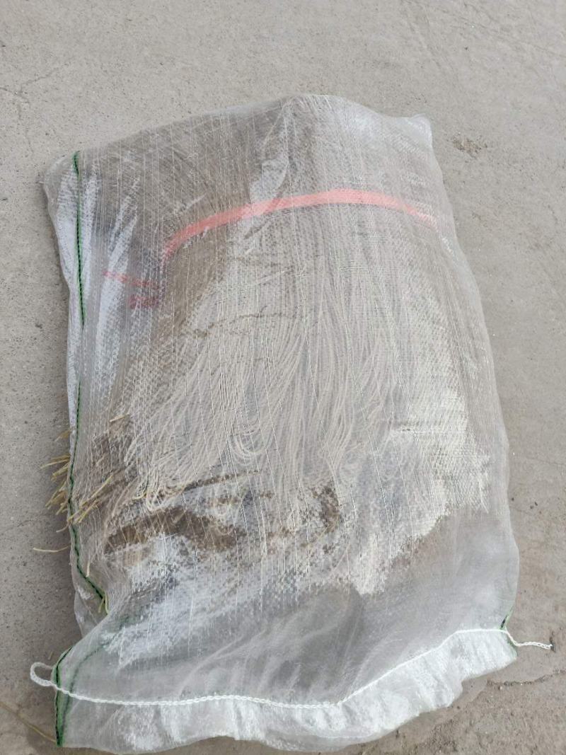 纯手工河南红薯粉条山药粉条口感劲道***欢迎咨询