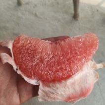 大埔蜜柚(农户直供)红肉！白肉！三红！大量供应