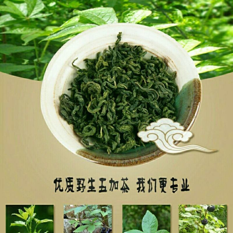 新品吉林长白山刺五加茶