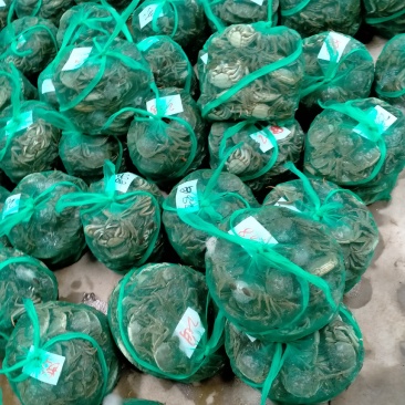 河蟹湖北清水大闸蟹，河蟹，精品礼盒装，一盒可多种！