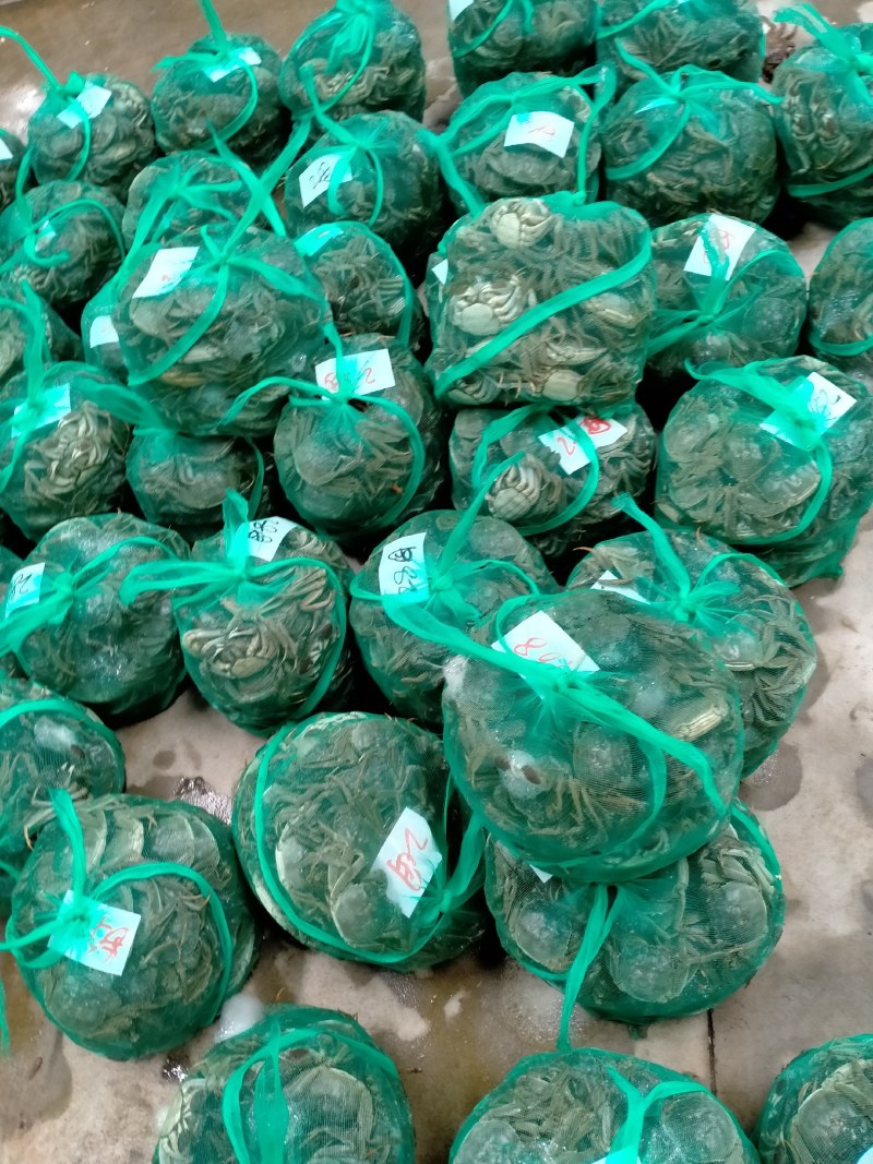河蟹湖北清水大闸蟹，河蟹，精品礼盒装，一盒可多种！