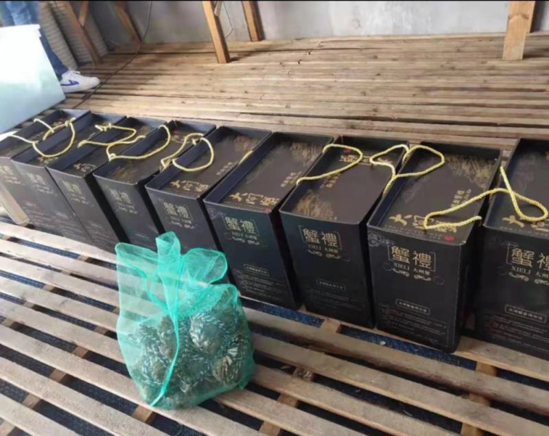 产地直发大量批发大闸蟹长期供应，常年批发，诚信经营