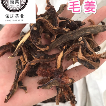 骨碎补毛姜保庆药业批发骨碎补实物拍摄！