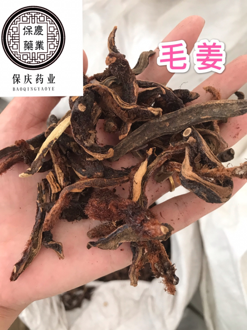 骨碎补毛姜保庆药业批发骨碎补实物拍摄！