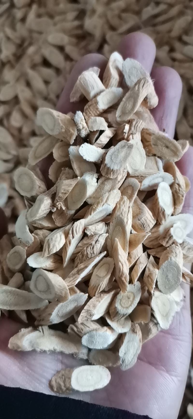 纯新棉芪黄芪籽，干净无杂志，一手货质量有保证，欢迎选购