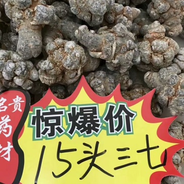 足干云南文山三七(自己种的特产品)