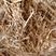 优质小麦秸秆粉碎除尘套袋过滚筒质量保证2023新货