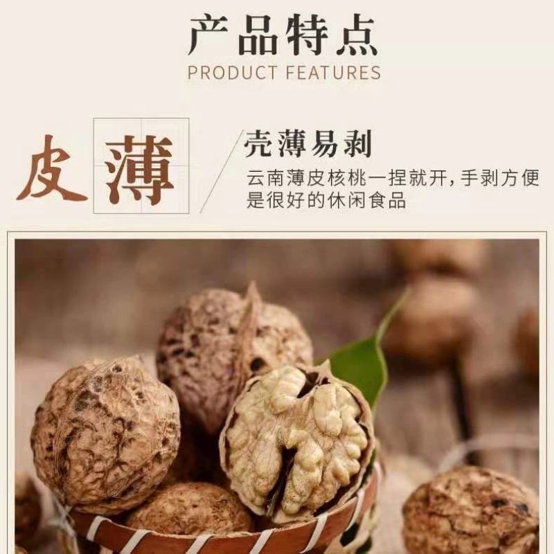 2020年云南纸皮核桃云南核桃瓤子白饱满质量保证