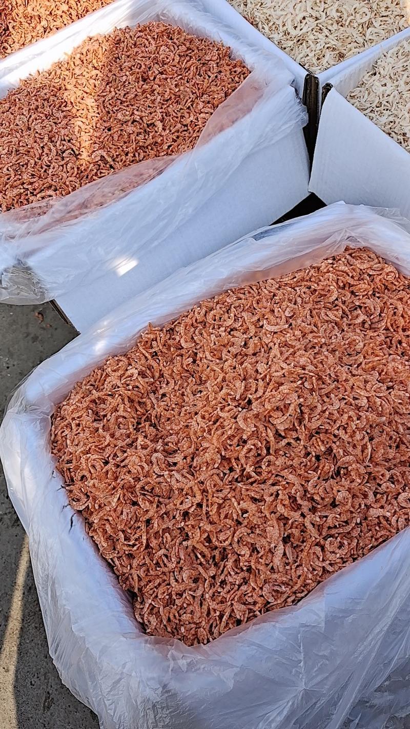 磷虾米，去皮的，干度好，净重9.5斤，长年供货，一手货源