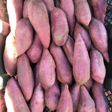 海南板栗地瓜桥头富硒地瓜产地种植量大从优