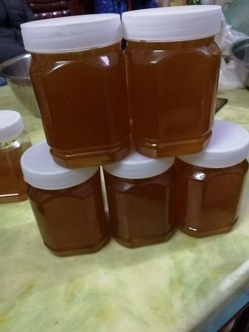 广东冬蜜，每座山的蜜糖都不一样