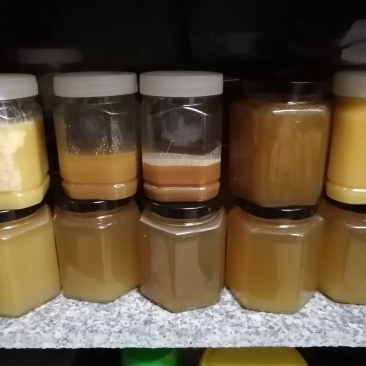 广东冬蜜，每座山的蜜糖都不一样