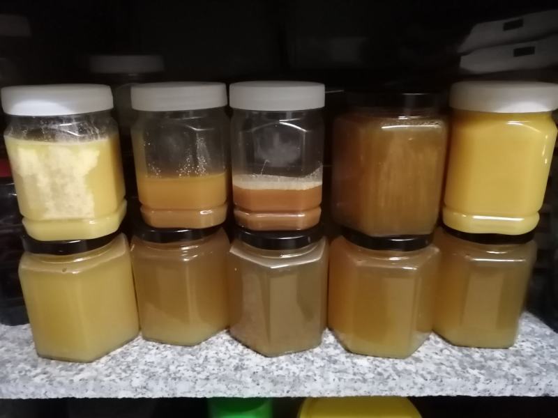 广东冬蜜，每座山的蜜糖都不一样