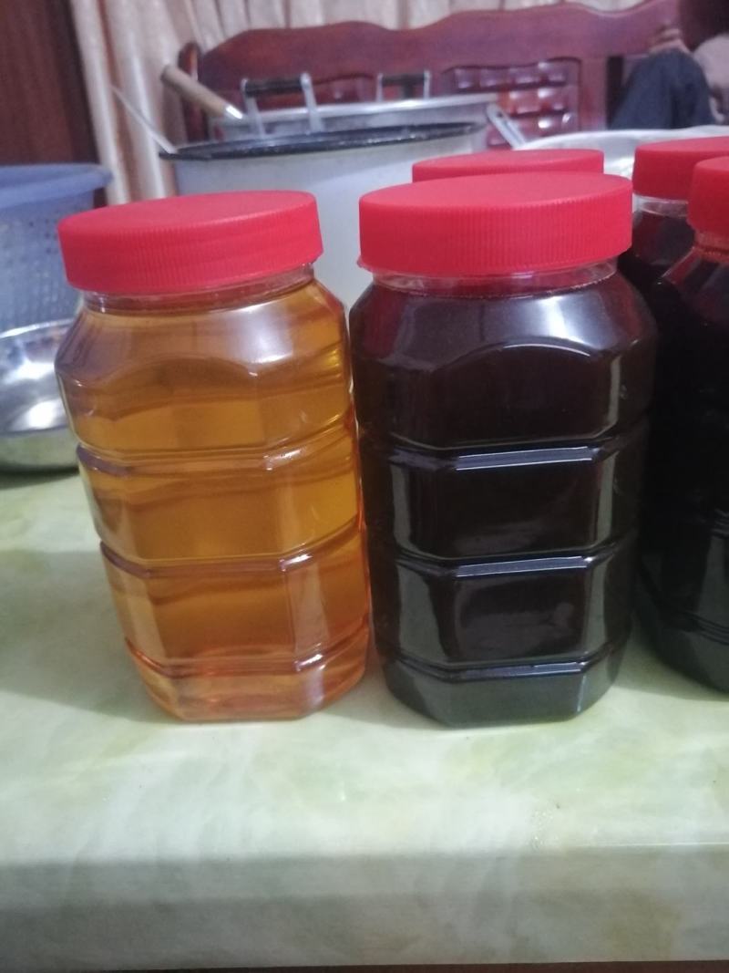 广东冬蜜，每座山的蜜糖都不一样