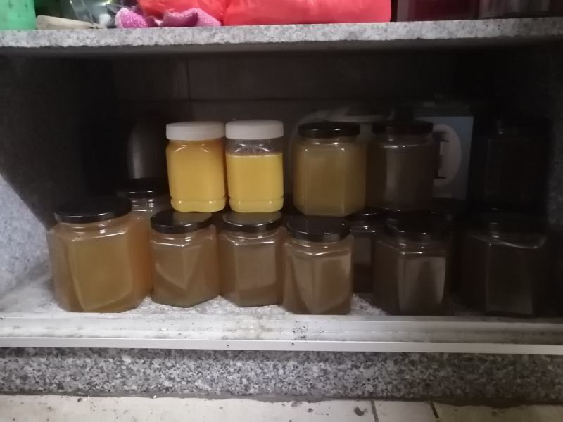 广东冬蜜，每座山的蜜糖都不一样