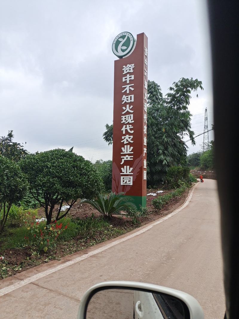 不知火丑柑，大量提供电商货市场货，资中不知火口感巴士。。