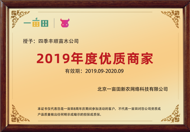 【原产地供应】四川茵红李子树苗半边红李子苗现挖纯正包邮