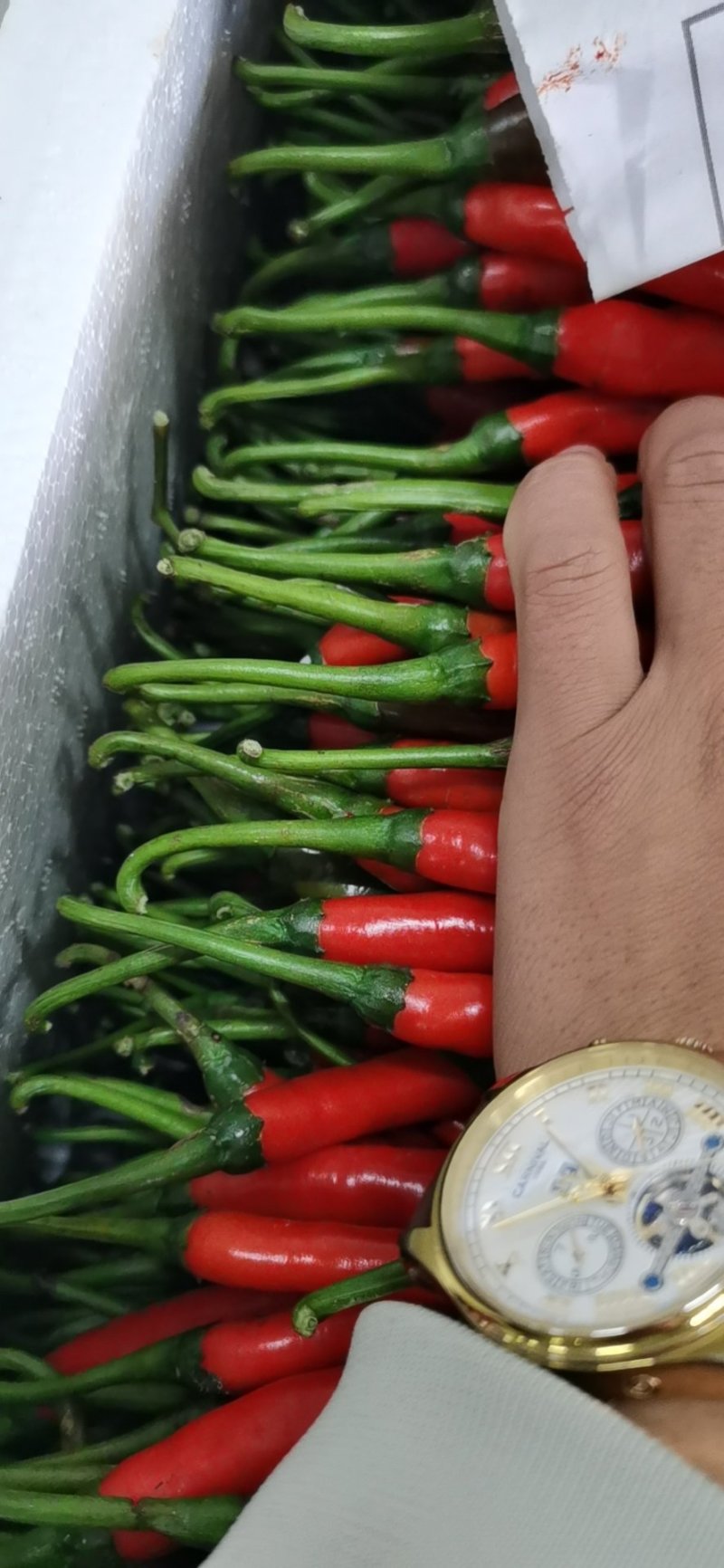 辣椒，精品，拖把，量大从优