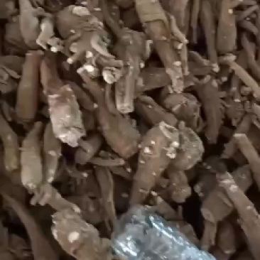 水洗，有硫小白芷干净无杂志