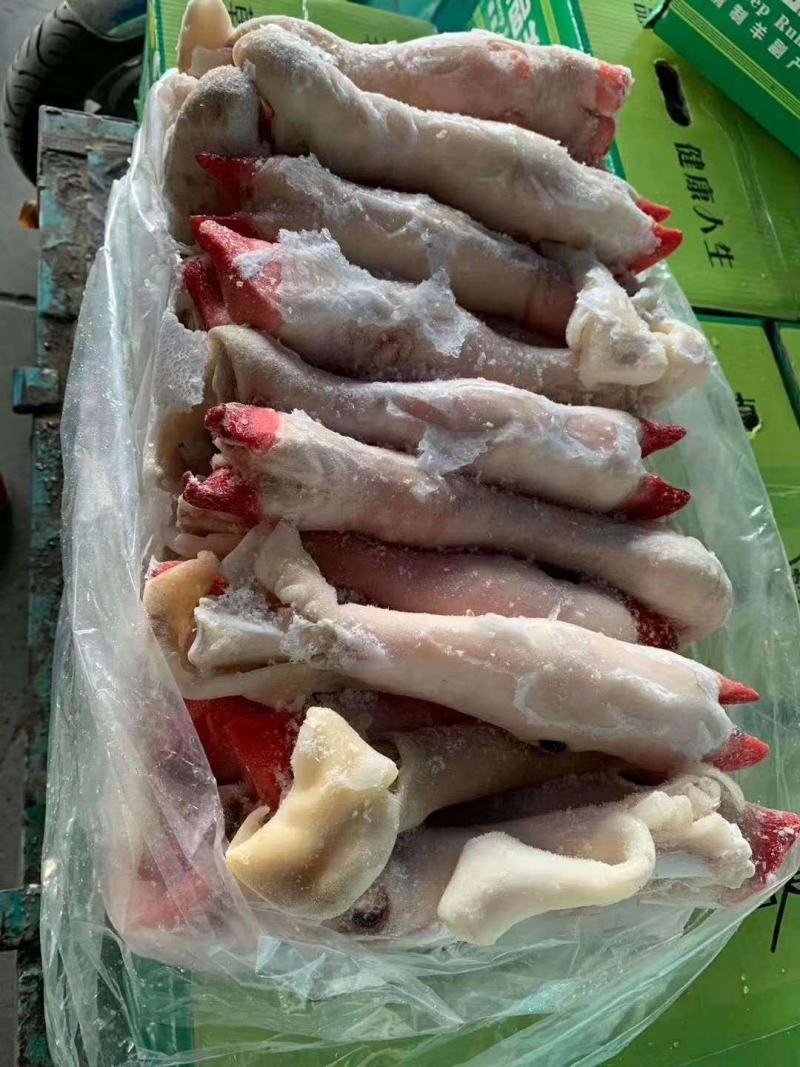 水褪羊蹄，11一斤，净重50斤，干净无毛，不抽筋。